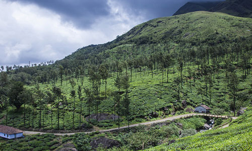 Natural world of Valparai